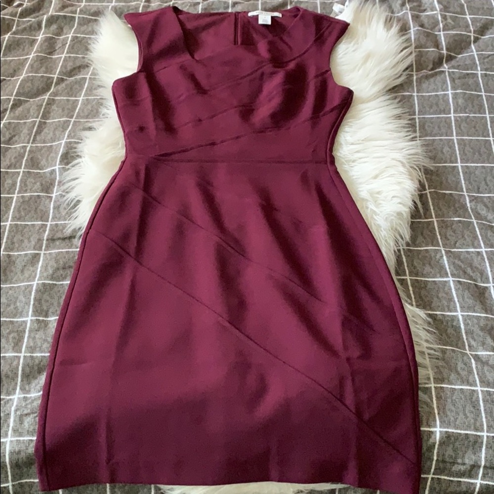 Plum Fitted Dress